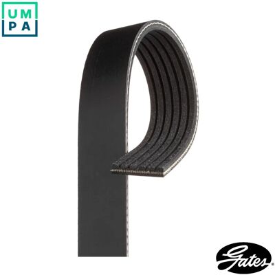 Gates 6PK1720XS V-ιριδωτή ζώνη - V-ιριδωτή ζώνη Gates 6PK1720XS V-ιριδωτή ζώνη - V-ιριδωτή ζώνη