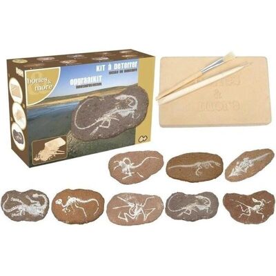 Bones & More Dinosaurier-Fossil-Set - Lernspielzeug Bones & More Dinosaurier-Fossil-Set - Lernspielzeug