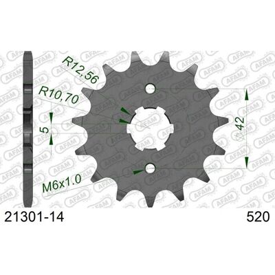 AFAM 21301 - 520 Kjede tannhjul - Holdbart motorsykkeldel AFAM 21301 - 520 Kjede tannhjul - Holdbart motorsykkeldel