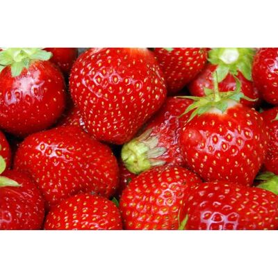 Digital Republic 40179 Polyamide-PVC Deurmat - Deurmat Digital Republic 40179 Polyamide-PVC Deurmat - Deurmat