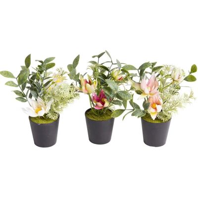 BOTANIC-HAUS - Christrosen-Arrangement - Artificial plant BOTANIC-HAUS - Christrosen-Arrangement - Artificial plant