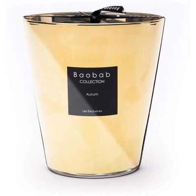 Baobab Collection Les Exclusives Aurum Duftkerze - 16 cm, Blumig, Luxuriös, Längere Brenndauer Baobab Collection Les Exclusives Aurum Duftkerze - 16 cm, Blumig, Luxuriös, Längere Brenndauer
