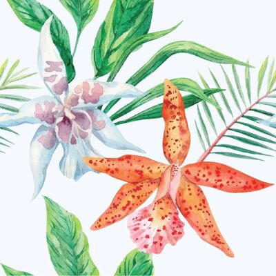 Ambiance-sticker - Orchidées Tropical - 30x30 cm - Publicité Ambiance-sticker - Orchidées Tropical - 30x30 cm - Publicité