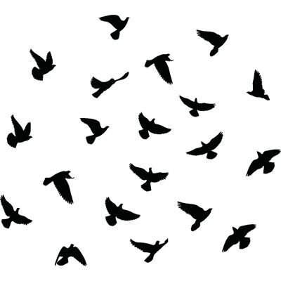 Ambiance-sticker - 20 oiseaux anti-collision - Sticker set - Publicité Ambiance-sticker - 20 oiseaux anti-collision - Sticker set - Publicité