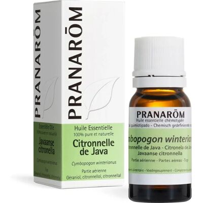 Pranarom Citronella Essentiële Olie - Aromatische insectenwerend middel - 10ml Pranarom Citronella Essentiële Olie - Aromatische insectenwerend middel - 10ml