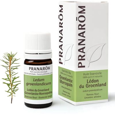 Pranarom Greenland Ledon essential oil - flowering twig 5 ml - Essential Oil Pranarom Greenland Ledon essential oil - flowering twig 5 ml - Essential Oil