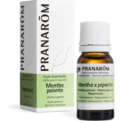 Olio essenziale di menta - 10 ml di Pranarom Olio essenziale di menta - 10 ml di Pranarom