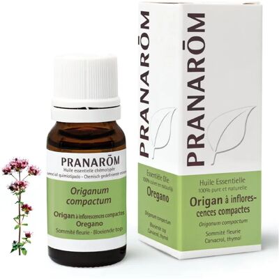 Pranarom Oregano Compact Essentiële Olie - Essentiële olie Pranarom Oregano Compact Essentiële Olie - Essentiële olie