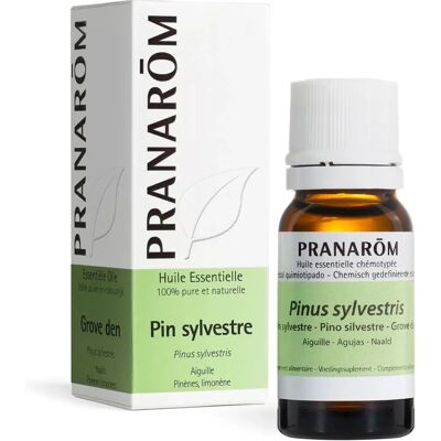 Pranarom Kiefernöl - Ätherisches Öl - Violett-graue Rinde Pranarom Kiefernöl - Ätherisches Öl - Violett-graue Rinde