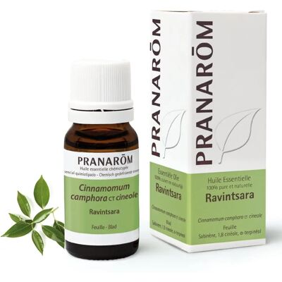 Olio Essenziale Ravintsara di Pranarôm - Olio Essenziale Olio Essenziale Ravintsara di Pranarôm - Olio Essenziale