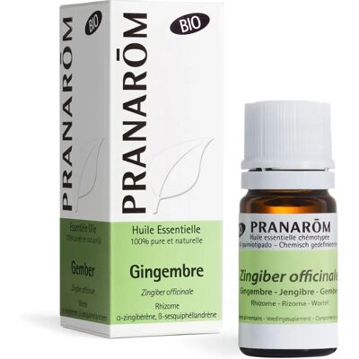 Pranarom Ginger Rhizome Essential Oil - 5ml Pranarom Ginger Rhizome Essential Oil - 5ml