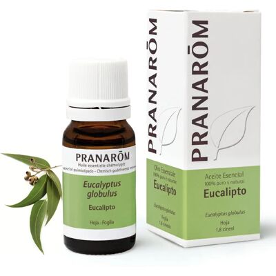 Olio Essenziale di Eucalipto Globulus - 10ml Olio Essenziale di Eucalipto Globulus - 10ml