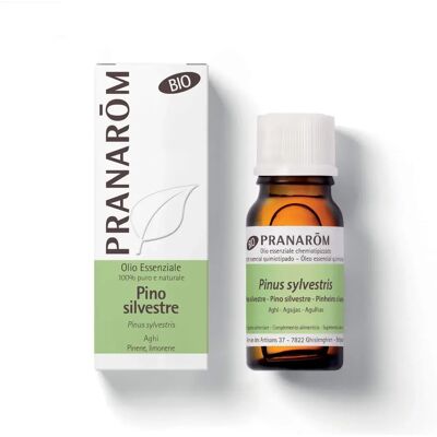 Olio essenziale di Pino Silvestre 10ml - Supporto respiratorio Olio essenziale di Pino Silvestre 10ml - Supporto respiratorio