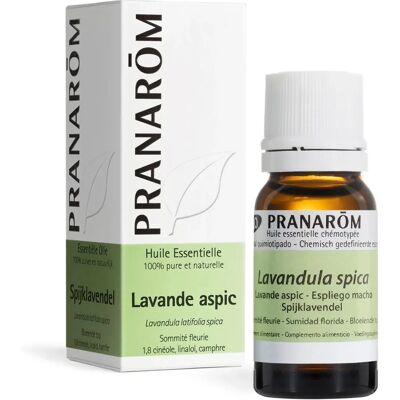Olio Essenziale Maschile di Lavanda Pranarom - Olio Essenziale Olio Essenziale Maschile di Lavanda Pranarom - Olio Essenziale