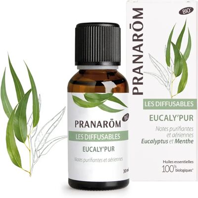 Pranarôm Eukalyptus Minze Diffusor - Ätherische Öl 30ml Pranarôm Eukalyptus Minze Diffusor - Ätherische Öl 30ml
