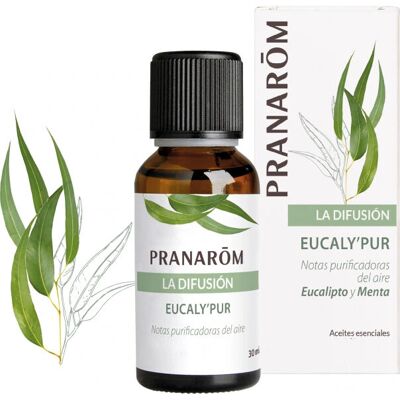 PranarĂ´m Cedar Eucalyptus Menthol Mint Pine Vetiver Aroma Diffuser - Aroma Essence PranarĂ´m Cedar Eucalyptus Menthol Mint Pine Vetiver Aroma Diffuser - Aroma Essence