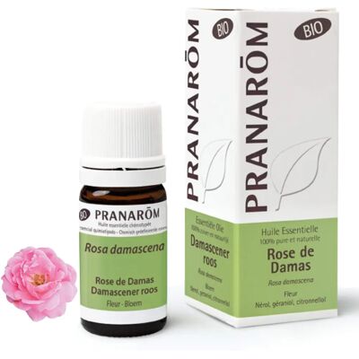 Aceite esencial de rosa de Damasco - 2 ml - Aceite Esencial Aceite esencial de rosa de Damasco - 2 ml - Aceite Esencial