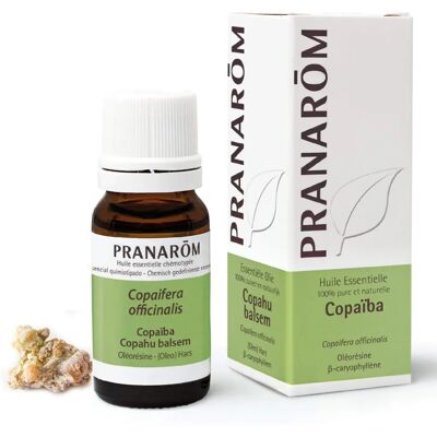 Aceite esencial de Bálsamo de Copaiba - 10 ml - Pranarôm Aceite esencial de Bálsamo de Copaiba - 10 ml - Pranarôm
