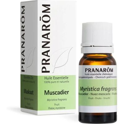 Huile Essentielle de Noix de Muscade - Soulagement musculaire & digestion - Publicité Huile Essentielle de Noix de Muscade - Soulagement musculaire & digestion - Publicité