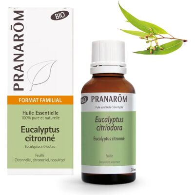 Óleo Essencial de Eucalipto Azul Orgânico - Purifica o Ar e Inflamações Óleo Essencial de Eucalipto Azul Orgânico - Purifica o Ar e Inflamações