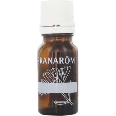 Pranarom Flacon Ampoule à Gouttes d'Huile Essentielle Ambre 10ml - Flacon à Gouttes d'Huile Essentielle - Publicité Pranarom Flacon Ampoule à Gouttes d'Huile Essentielle Ambre 10ml - Flacon à Gouttes d'Huile Essentielle - Publicité
