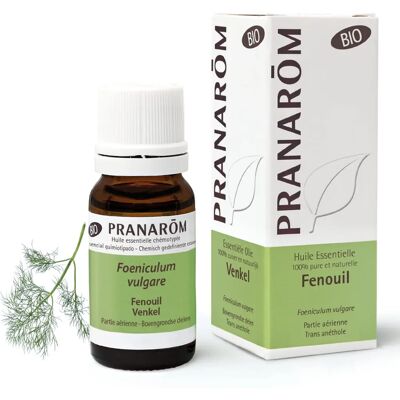 Olio essenziale di finocchio biologico Pranarôm - Olio essenziale Olio essenziale di finocchio biologico Pranarôm - Olio essenziale
