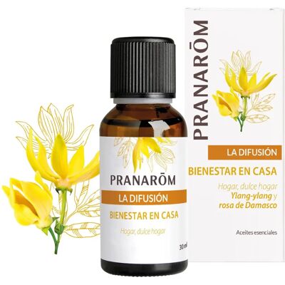 Pranarom Marchio Sinergia di Diffusione Benessere Pranarom Marchio Sinergia di Diffusione Benessere