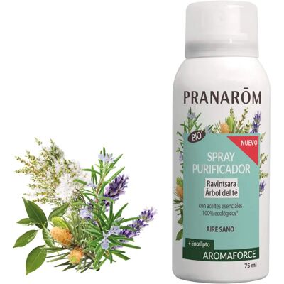 Pranarôm Ravintsara y Árbol del Té Spray Purificador - Purificador de Aire Pranarôm Ravintsara y Árbol del Té Spray Purificador - Purificador de Aire