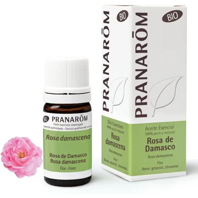 Pranarom - Rosa Damascena - Olio essenziale - Bio 5 ml Pranarom - Rosa Damascena - Olio essenziale - Bio 5 ml