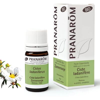 Aceite Esencial de Ciste Ladanifero BIO 5ml - Aceite Esencial Aceite Esencial de Ciste Ladanifero BIO 5ml - Aceite Esencial
