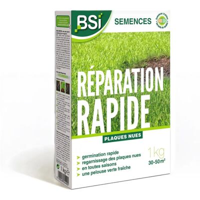 Semillas de césped BSI - Reparación rápida - Recubrimiento protector - Alta calidad - Hasta 50m² - 1Kg Semillas de césped BSI - Reparación rápida - Recubrimiento protector - Alta calidad - Hasta 50m² - 1Kg