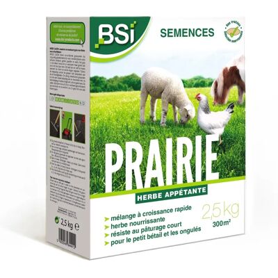 BSI - Grassamen - Wiese - Hochwertig - Bis zu 375m² - 7,5 kg BSI - Grassamen - Wiese - Hochwertig - Bis zu 375m² - 7,5 kg