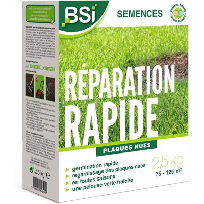 BSI - Semences de Gazon - Réparation Rapide - Enrobage Protecteur - Jusqu'à 125m² - 2,5Kg - Semences de Gazon - Publicité BSI - Semences de Gazon - Réparation Rapide - Enrobage Protecteur - Jusqu'à 125m² - 2,5Kg - Semences de Gazon - Publicité