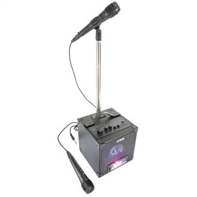 Système Karaoke Party avec 2 Microphones & Effets LED - Publicité Système Karaoke Party avec 2 Microphones & Effets LED - Publicité