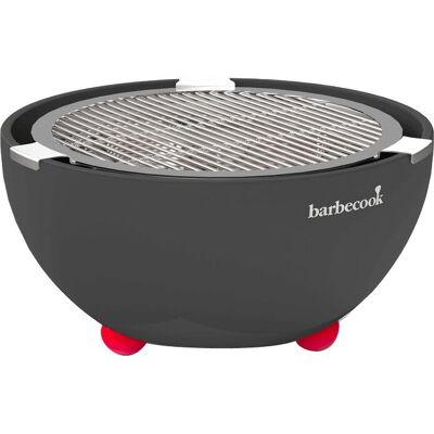 Barbecook Joya Barbecue da Tavolo Portatile in Acciaio Inox - 4 Persone Barbecook Joya Barbecue da Tavolo Portatile in Acciaio Inox - 4 Persone