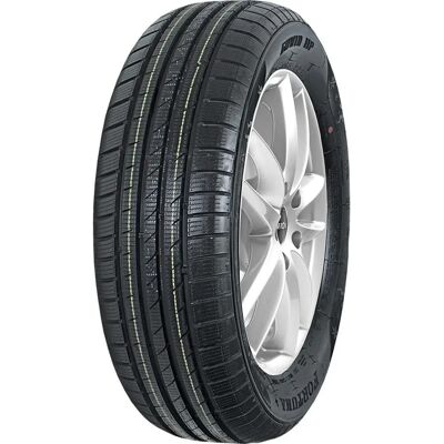Fortuna Gowin HP 205/60 R16 92H Winterreifen - Autoreifen Fortuna Gowin HP 205/60 R16 92H Winterreifen - Autoreifen