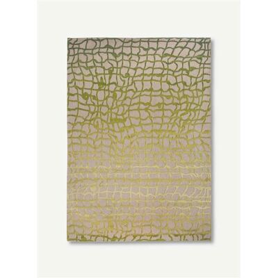 Tapis Vert Dedalo de Louis de Poortere - 170x240 cm - Design Contemporain - Publicité Tapis Vert Dedalo de Louis de Poortere - 170x240 cm - Design Contemporain - Publicité