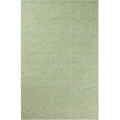 Tapis Pearl Moss Vert - 170x240cm - Décoration Intérieure - Publicité Tapis Pearl Moss Vert - 170x240cm - Décoration Intérieure - Publicité