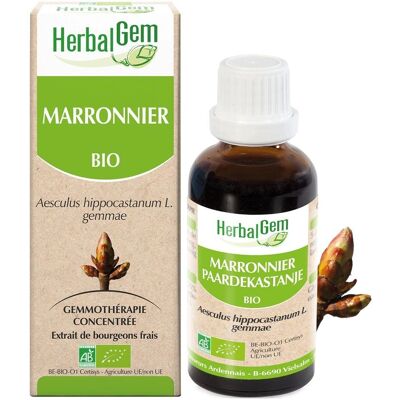 HerbalGem Marronnier Bio - Extrait de Bourgeons Frais - 30ml - Complément Alimentaire HerbalGem Marronnier Bio - Extrait de Bourgeons Frais - 30ml - Complément Alimentaire