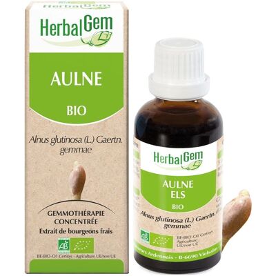 HerbalGem Biologisch Verse Knoppenextract - Ondersteunt Immuniteit & Circulatie - 30ml HerbalGem Biologisch Verse Knoppenextract - Ondersteunt Immuniteit & Circulatie - 30ml