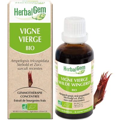 HERBALGEM Biologische Vigne Vierge Supplement - Circulatie, Huid & Hart HERBALGEM Biologische Vigne Vierge Supplement - Circulatie, Huid & Hart