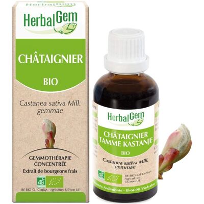 HerbalGem Extrait Bio de Châtaignier - Soutien Veineux - 30ml - Publicité HerbalGem Extrait Bio de Châtaignier - Soutien Veineux - 30ml - Publicité