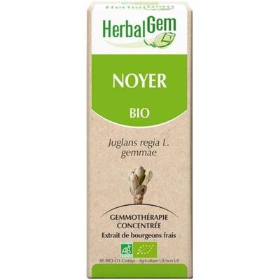 HerbalGem Biologische Walnootextract - Ondersteunt Spijsvertering & Immuunsysteem - 30ml HerbalGem Biologische Walnootextract - Ondersteunt Spijsvertering & Immuunsysteem - 30ml
