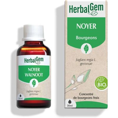 HerbalGem Biologische Walnootextract - Ondersteunt Spijsvertering & Immuunsysteem - 30ml HerbalGem Biologische Walnootextract - Ondersteunt Spijsvertering & Immuunsysteem - 30ml