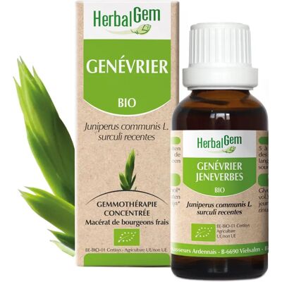 HerbalGem Genévrier Bio - Extrait de foie - 30ml - Publicité HerbalGem Genévrier Bio - Extrait de foie - 30ml - Publicité