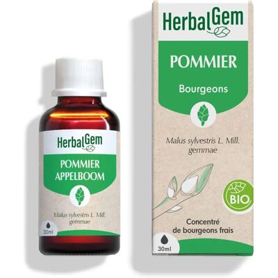 Concentré de bourgeon de pommier bio Herbalgem - Publicité Concentré de bourgeon de pommier bio Herbalgem - Publicité
