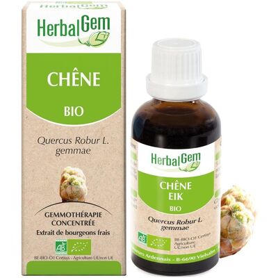 HerbalGem Eik Bio - Versnede knoppenextract - 30 ml - Gemmotherapie-extract HerbalGem Eik Bio - Versnede knoppenextract - 30 ml - Gemmotherapie-extract