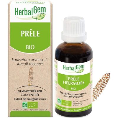 HerbalGEM Biologische Paardenstaart Extract - Ondersteunt Gewrichtsflexibiliteit HerbalGEM Biologische Paardenstaart Extract - Ondersteunt Gewrichtsflexibiliteit