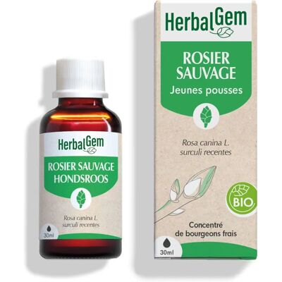 HERBALGEM Biologische Wilde Roos Aanvulling - 30ml Geconcentreerd Extract - Ondersteunt Immuniteit HERBALGEM Biologische Wilde Roos Aanvulling - 30ml Geconcentreerd Extract - Ondersteunt Immuniteit