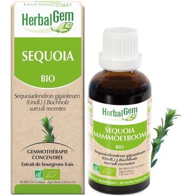 Herbalgem Sequoia Bio Ergänzung - 30ml - Knochengesundheit Herbalgem Sequoia Bio Ergänzung - 30ml - Knochengesundheit